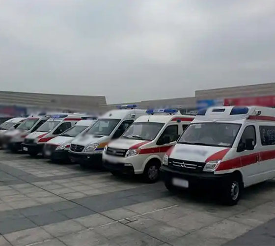 庆元县服务车队展示